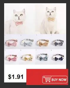 Mochila para animais de estimação em formato de tartaruga