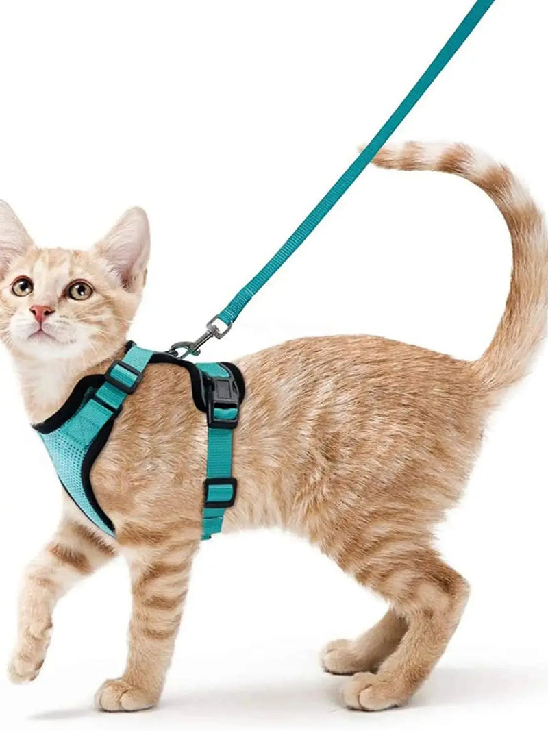 Guia de passeio para Gatos com peitoral