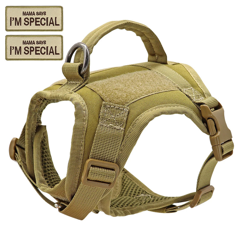 Guia de passeio com colete I'm Special