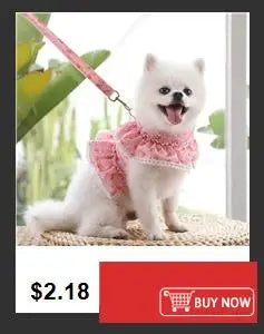 Mochila para animais de estimação em formato de tartaruga
