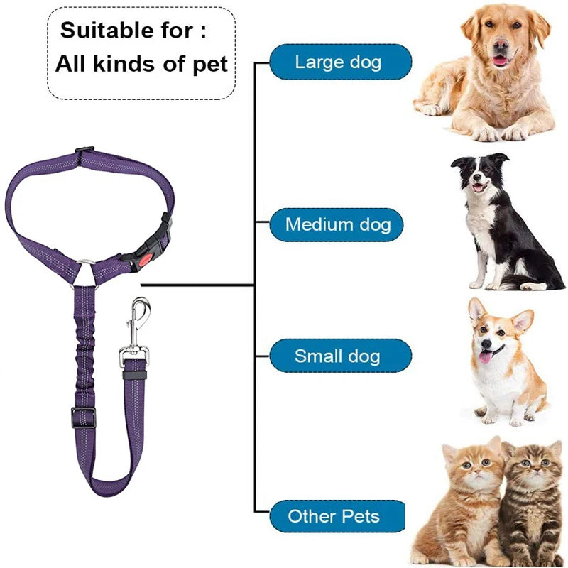 Cinto de Segurança para Cães