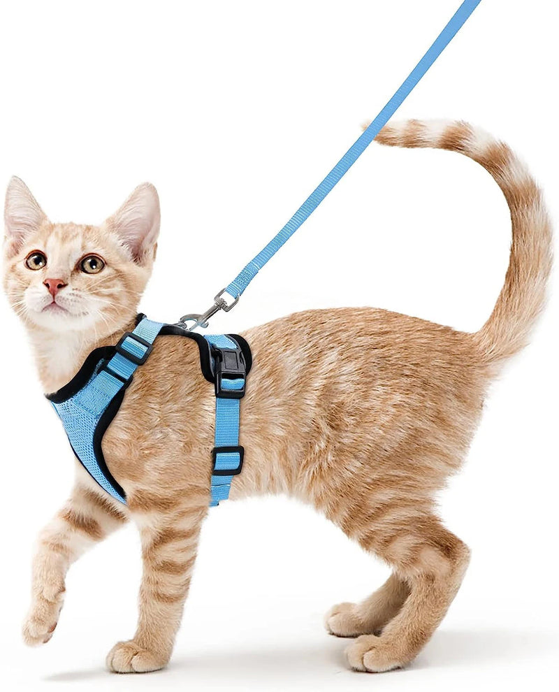 Guia de passeio para Gatos com peitoral