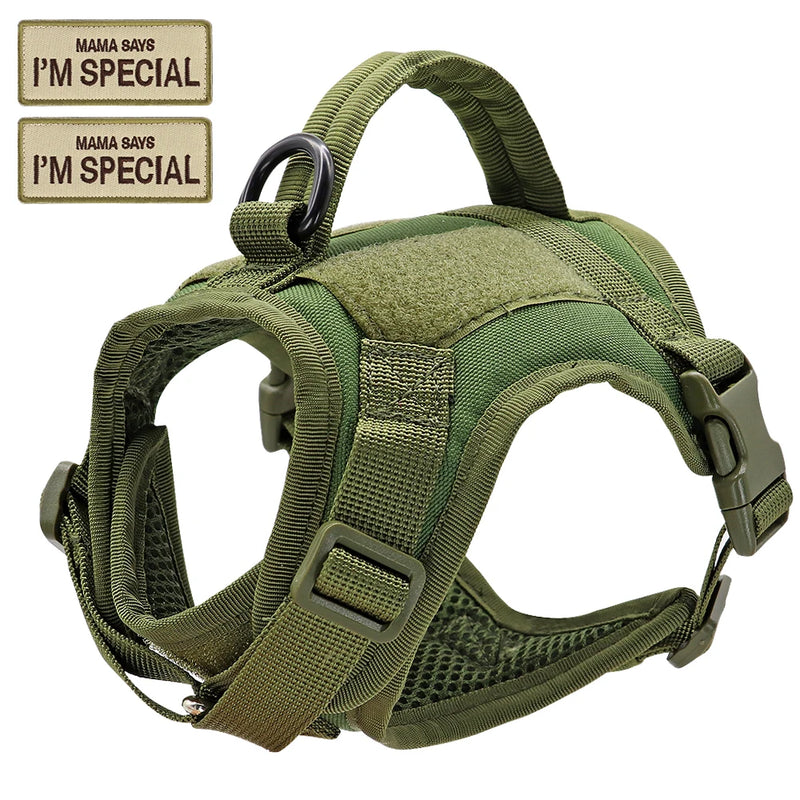 Guia de passeio com colete I'm Special