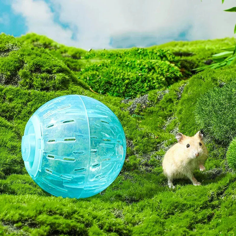 Bola de corrida de hamster