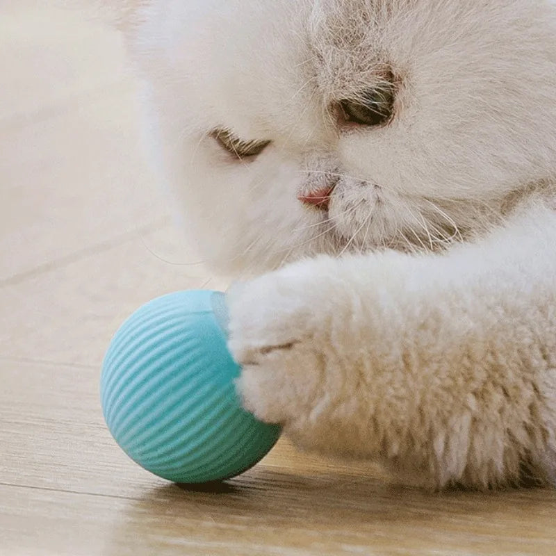 Bola interativa inteligente gato brinquedos eletrônico interativo gato brinquedo interior rolamento automático bola mágica gato jogo acessórios