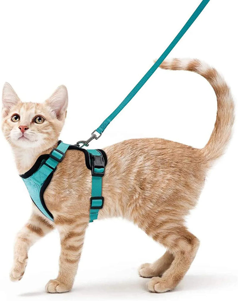 Guia de passeio para Gatos com peitoral
