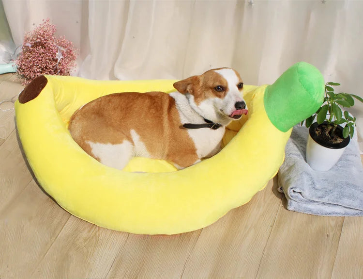 Cama portátil Banana para Cães e Gatos