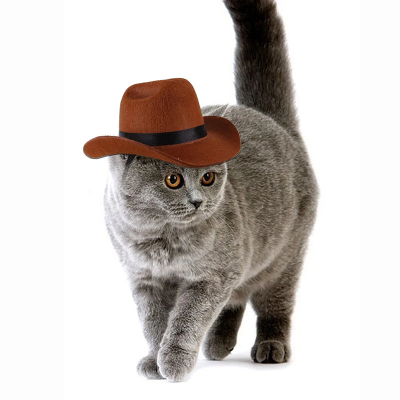 Chapéu britânico para cães de estimação, chapéu de cowboy estrela, suprimentos para animais de estimação, fantasia de cachorro ajustável, chapéu superior, bonés para cães, chapéus de sol para gatos