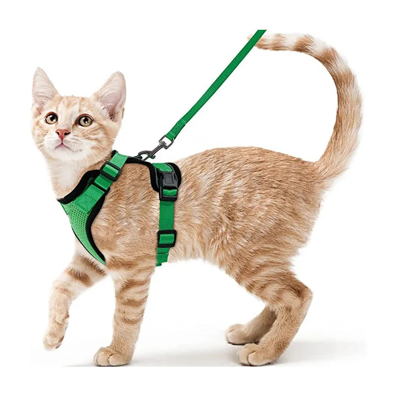 Guia de passeio para Gatos com peitoral