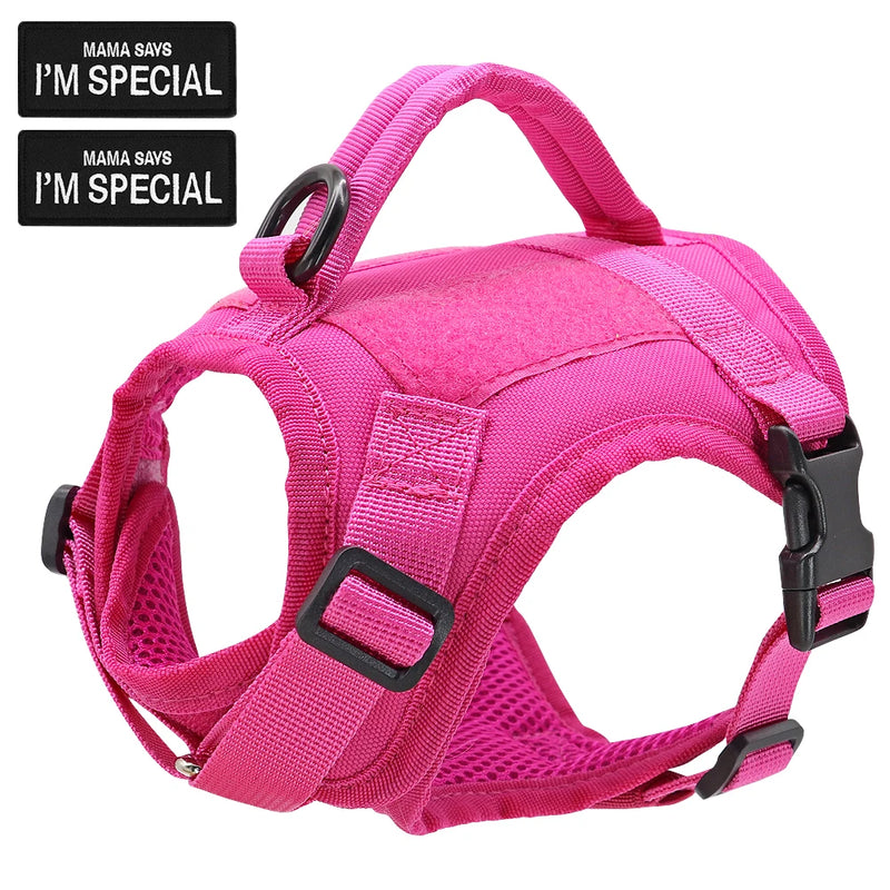Guia de passeio com colete I'm Special