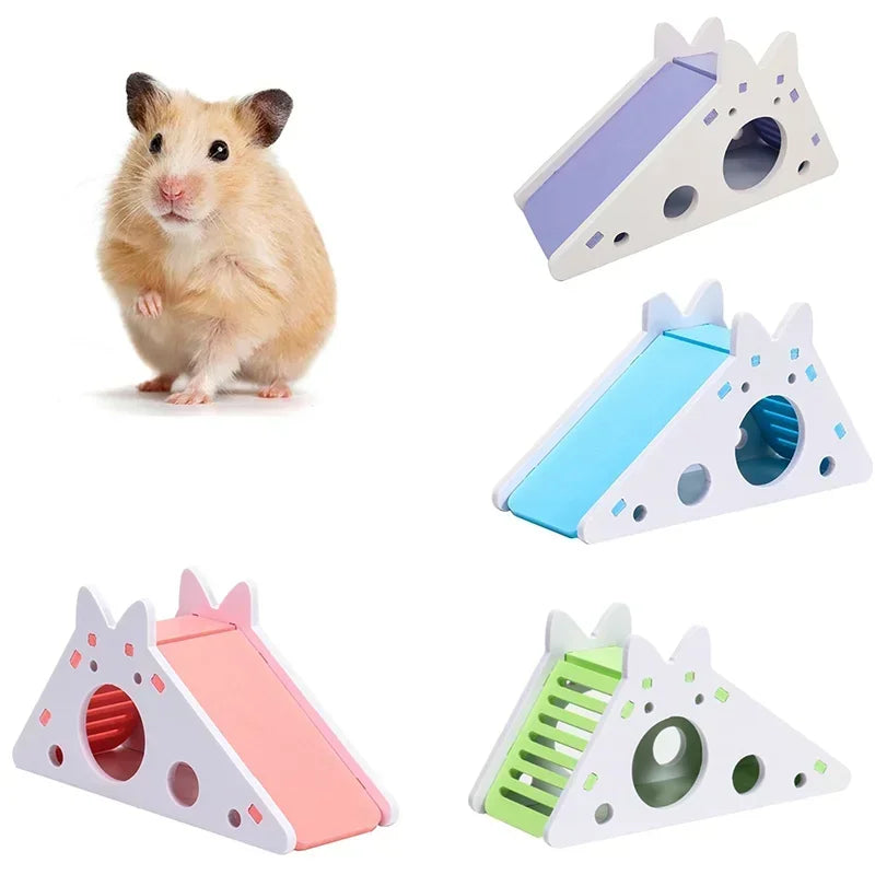 Rampa para hamster
