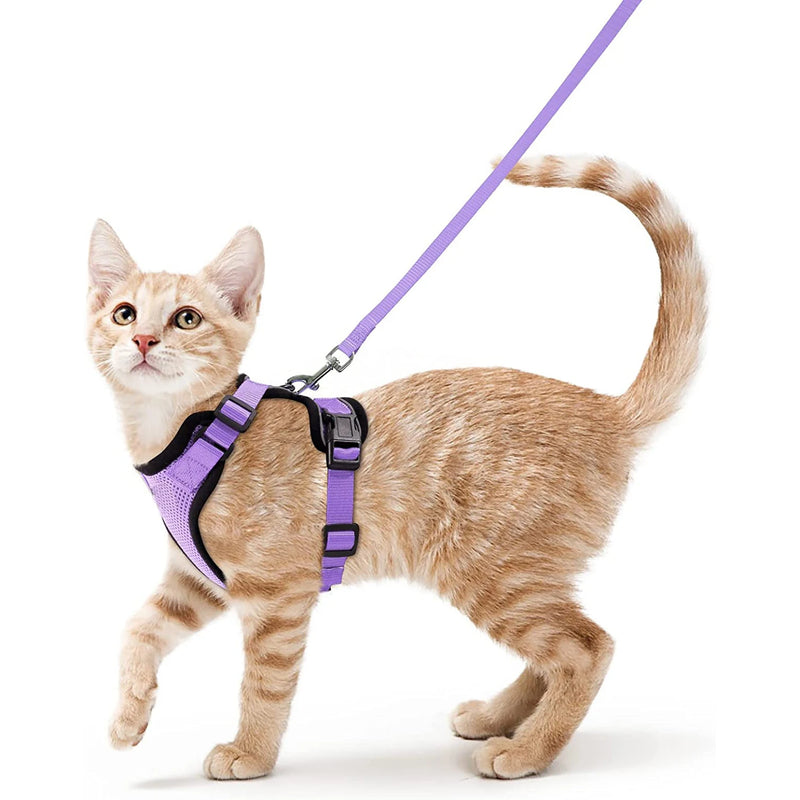Guia de passeio para Gatos com peitoral