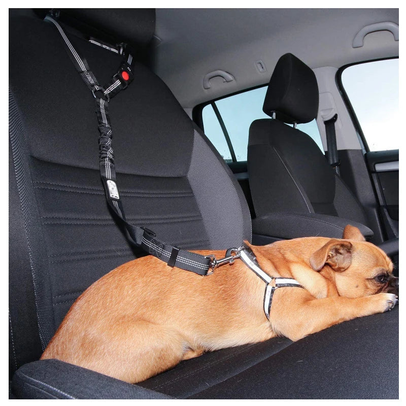 Cinto de Segurança para Cães