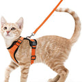 Guia de passeio para Gatos com peitoral
