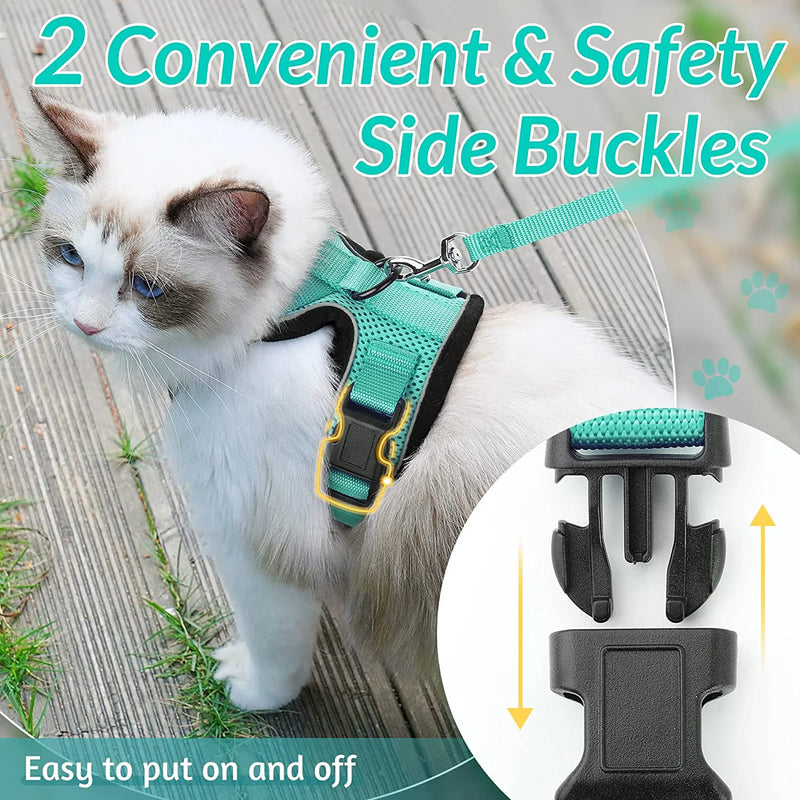 Guia de passeio para Gatos com peitoral