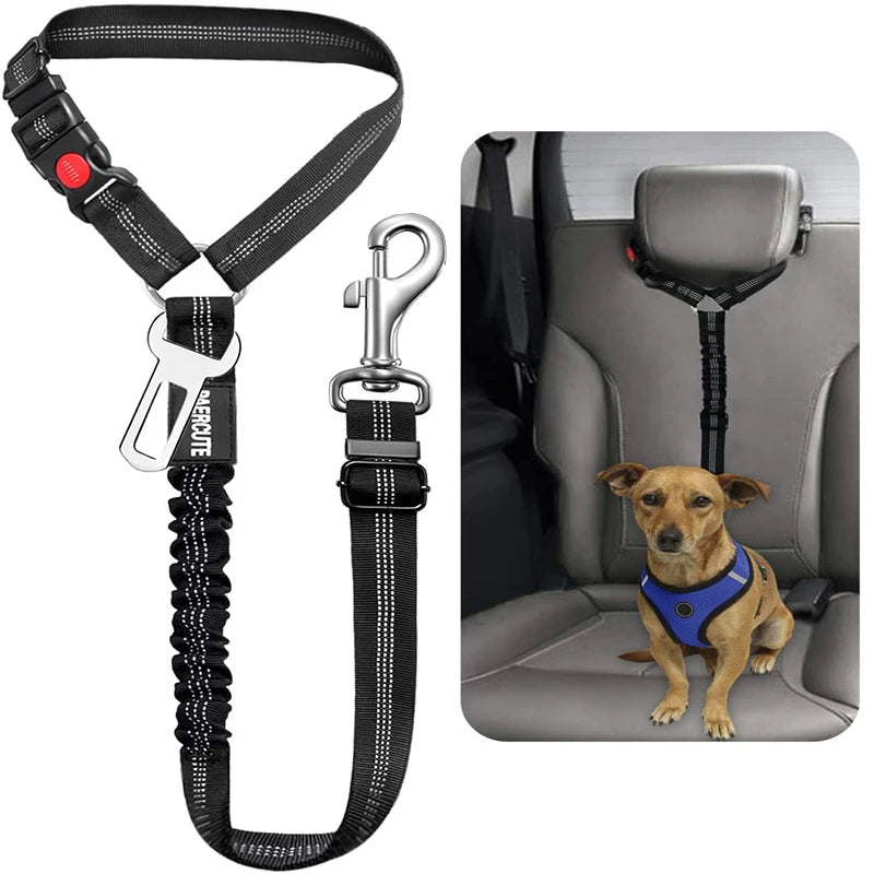 Cinto de Segurança para Cães