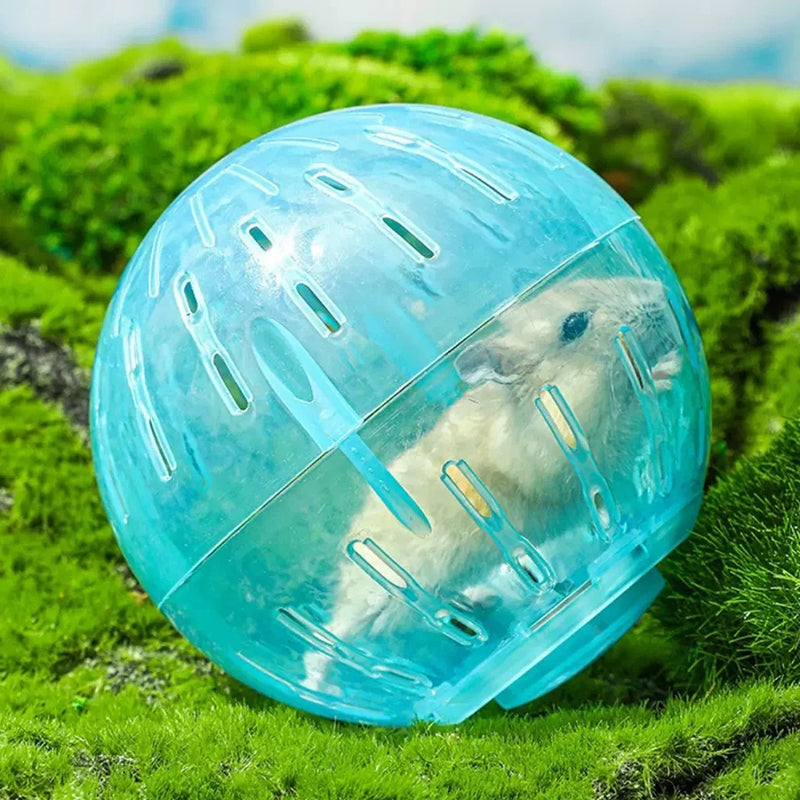 Bola de corrida de hamster