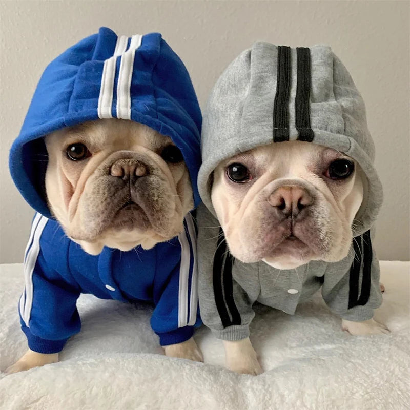 Adidog roupas para cães macacão quente filhote de cachorro roupas para animais de estimação para cães hoodies moletom yorkie buldogue francês roupas para cão casaco jaqueta