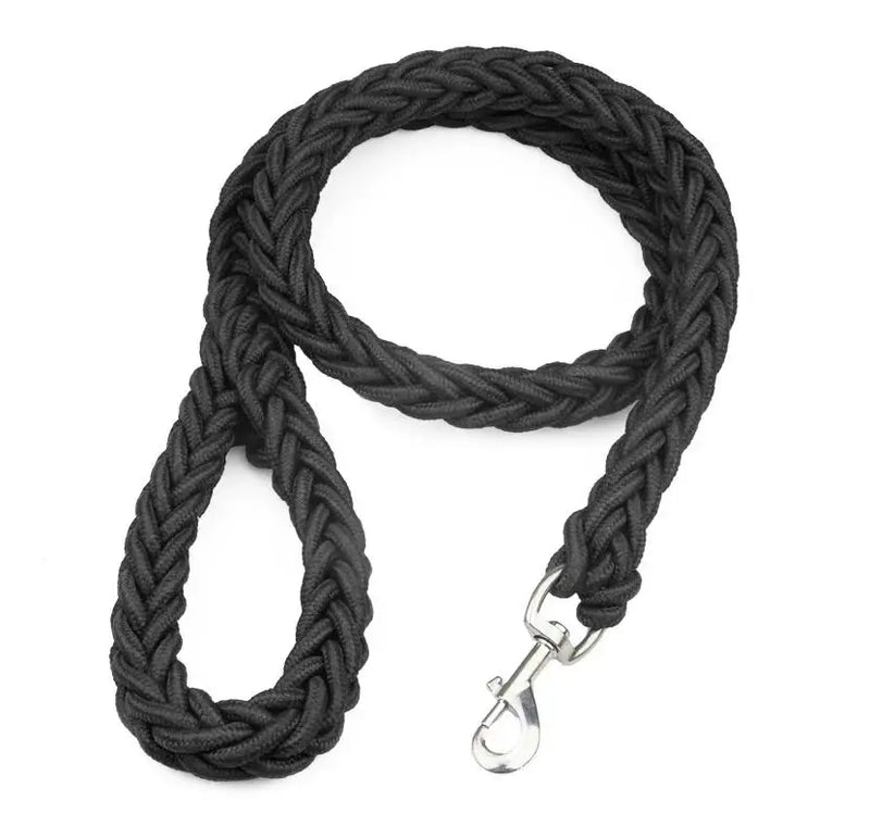 Guia para cachorros de médio e grande porte