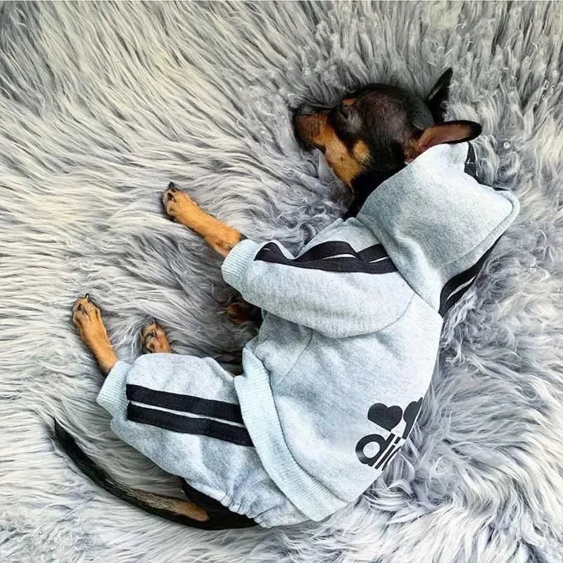 Adidog roupas para cães macacão quente filhote de cachorro roupas para animais de estimação para cães hoodies moletom yorkie buldogue francês roupas para cão casaco jaqueta
