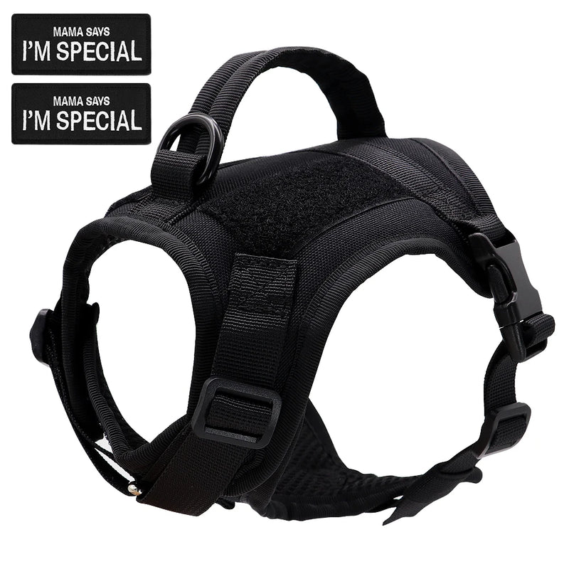 Guia de passeio com colete I'm Special
