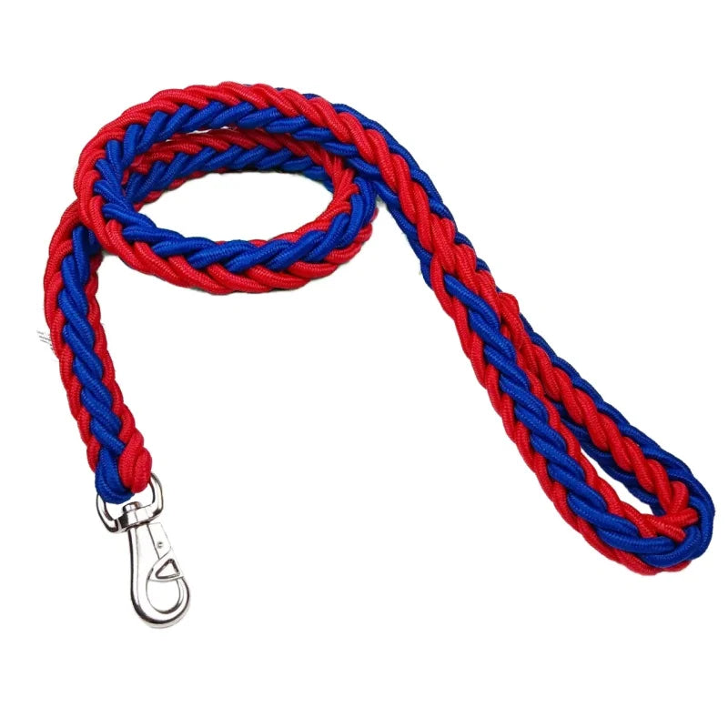 Guia para cachorros de médio e grande porte