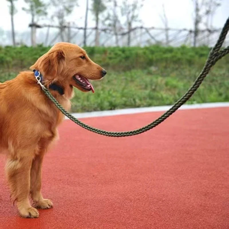 Guia para cachorros de médio e grande porte