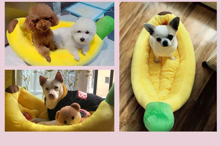 Cama portátil Banana para Cães e Gatos