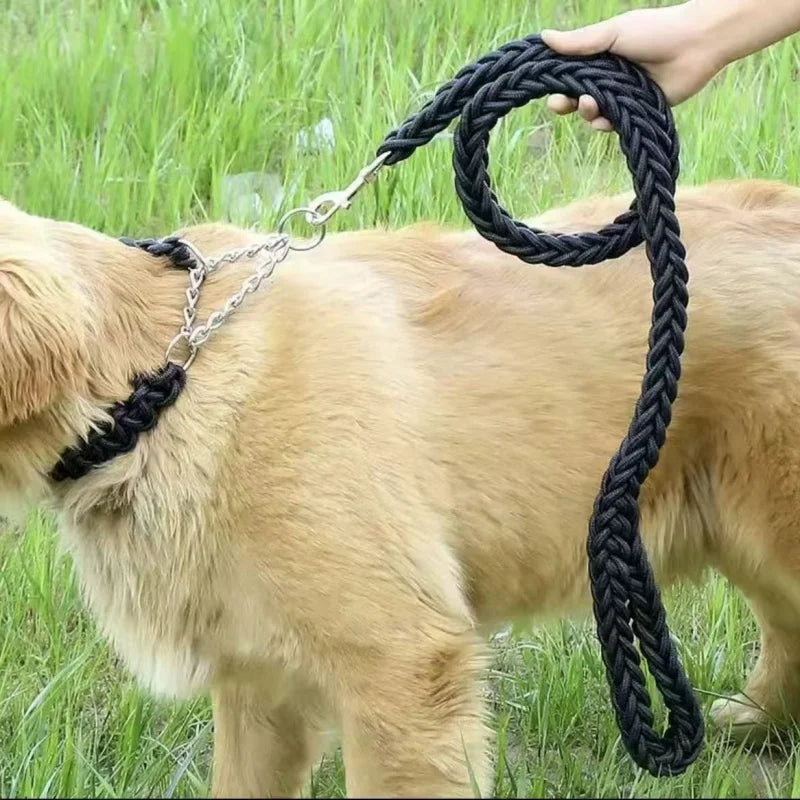 Guia para cachorros de médio e grande porte