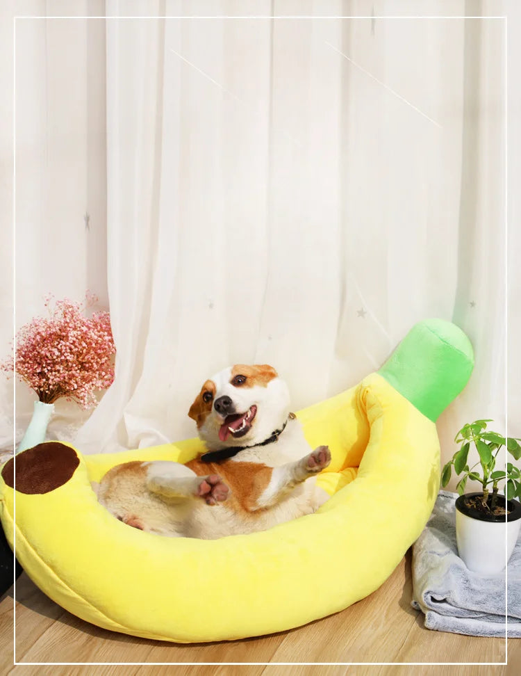 Cama portátil Banana para Cães e Gatos