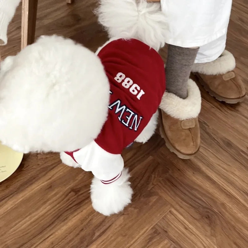 Roupas de beisebol para cachorros e gatos