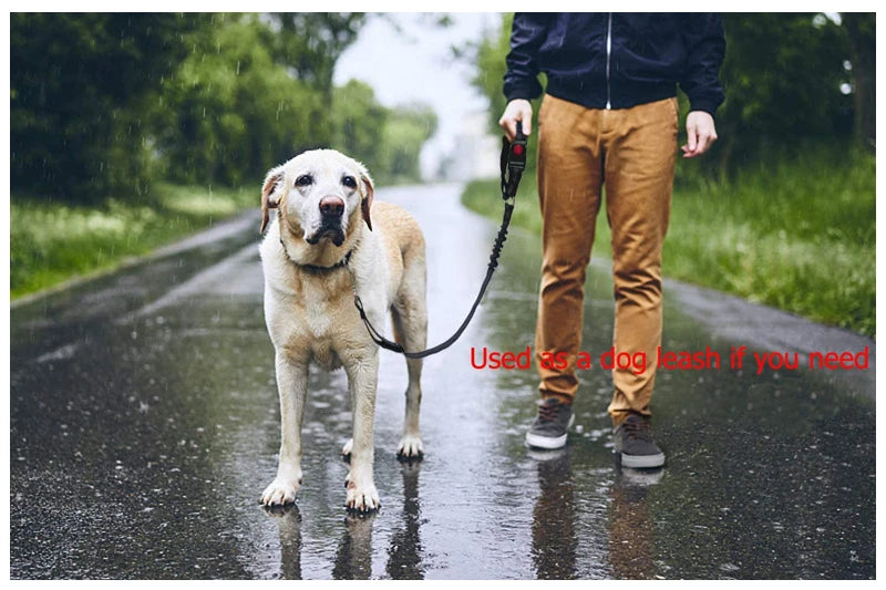 Cinto de Segurança para Cães